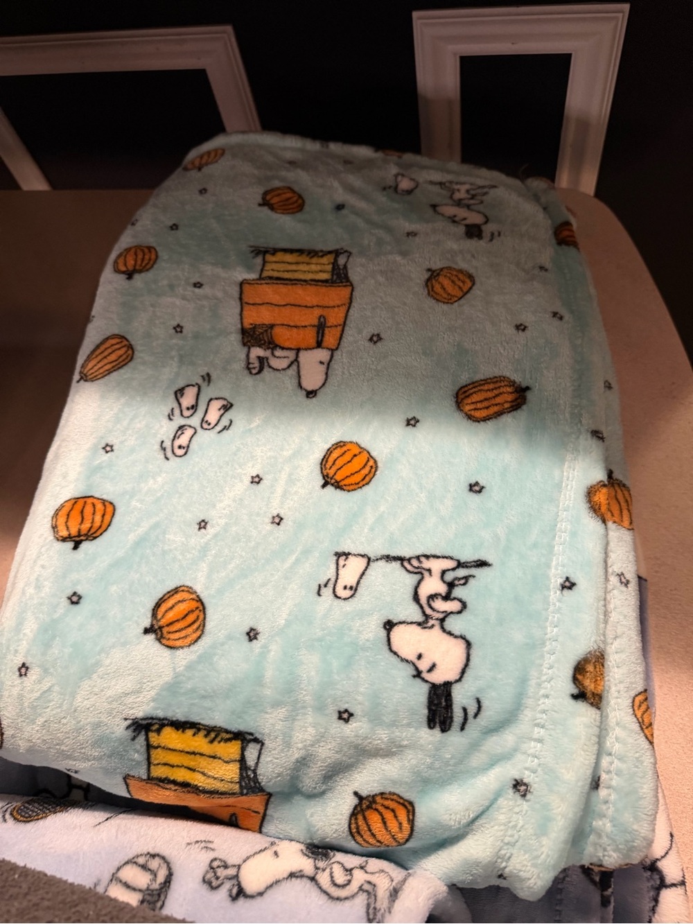Light Blue Pumpkin Print Plush Blanket twin size - Picture 3 of 3